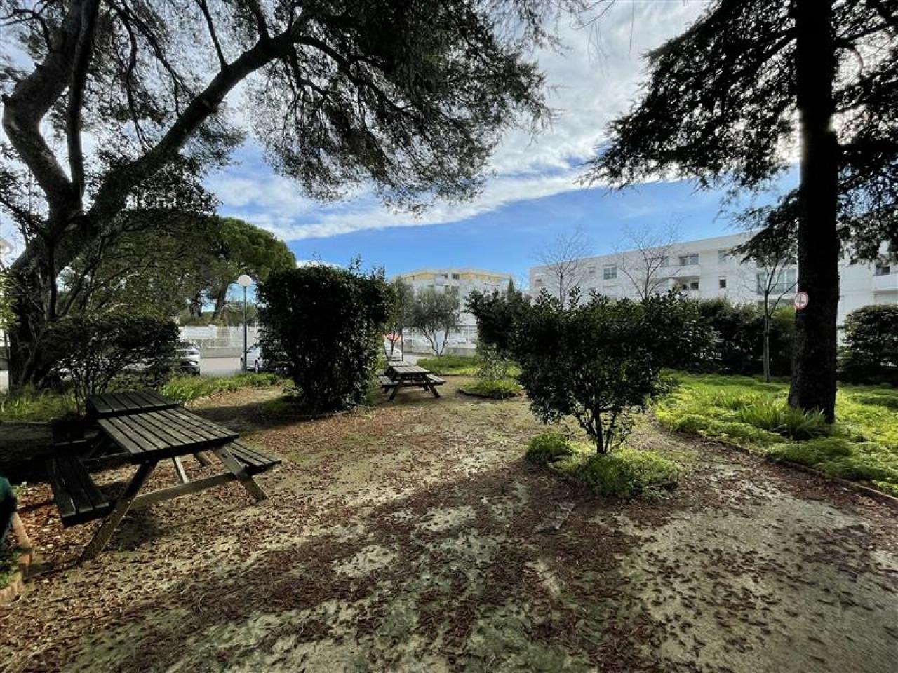 Bureau Montpellier 228m² Location bureau Montpellier Hérault OLBUR2529583 2